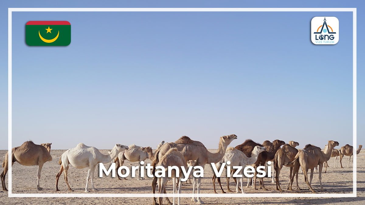 Vizesi Moritanya
