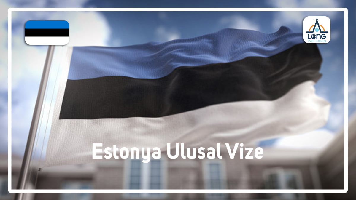 estonya ulusal vize 1